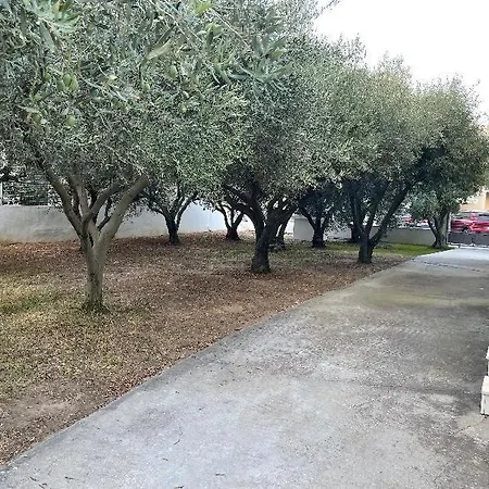 Betty's Seaside Olive House *